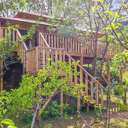Отель Orbis Boussagues La Tour-sur-Orb Экстерьер фото